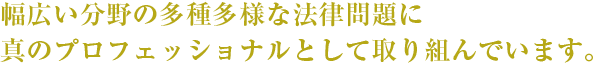 幅広い分野の多種多様な法律問題に真のプロフェッショナルとして取り組んでいます。